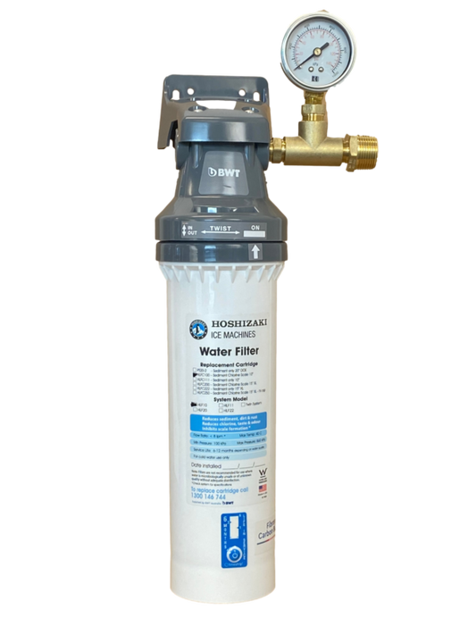 FILTER SYSTEM HLF10G W/GAUGE