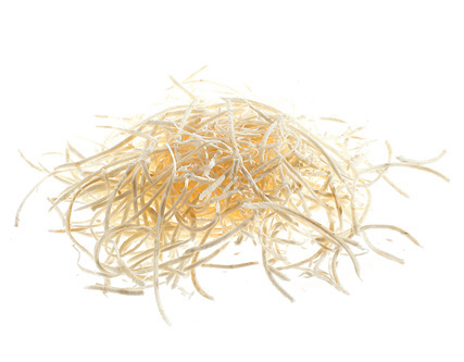 Dito Sama P4U Stainless Steel Grating Disc 3mm - AS650199