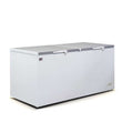 Commercial Chest Freezer - 850 Litre