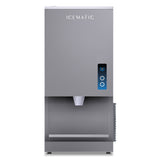 200Kg Bench Model Ice and Water Dispenser TD200.10
