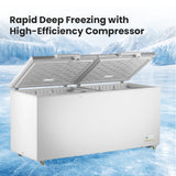 Thermaster 600L Chest Freezer with Stainless Steel Lid - BD600F