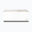 Storage Chest Freezer - 675L - Stainless Steel Top