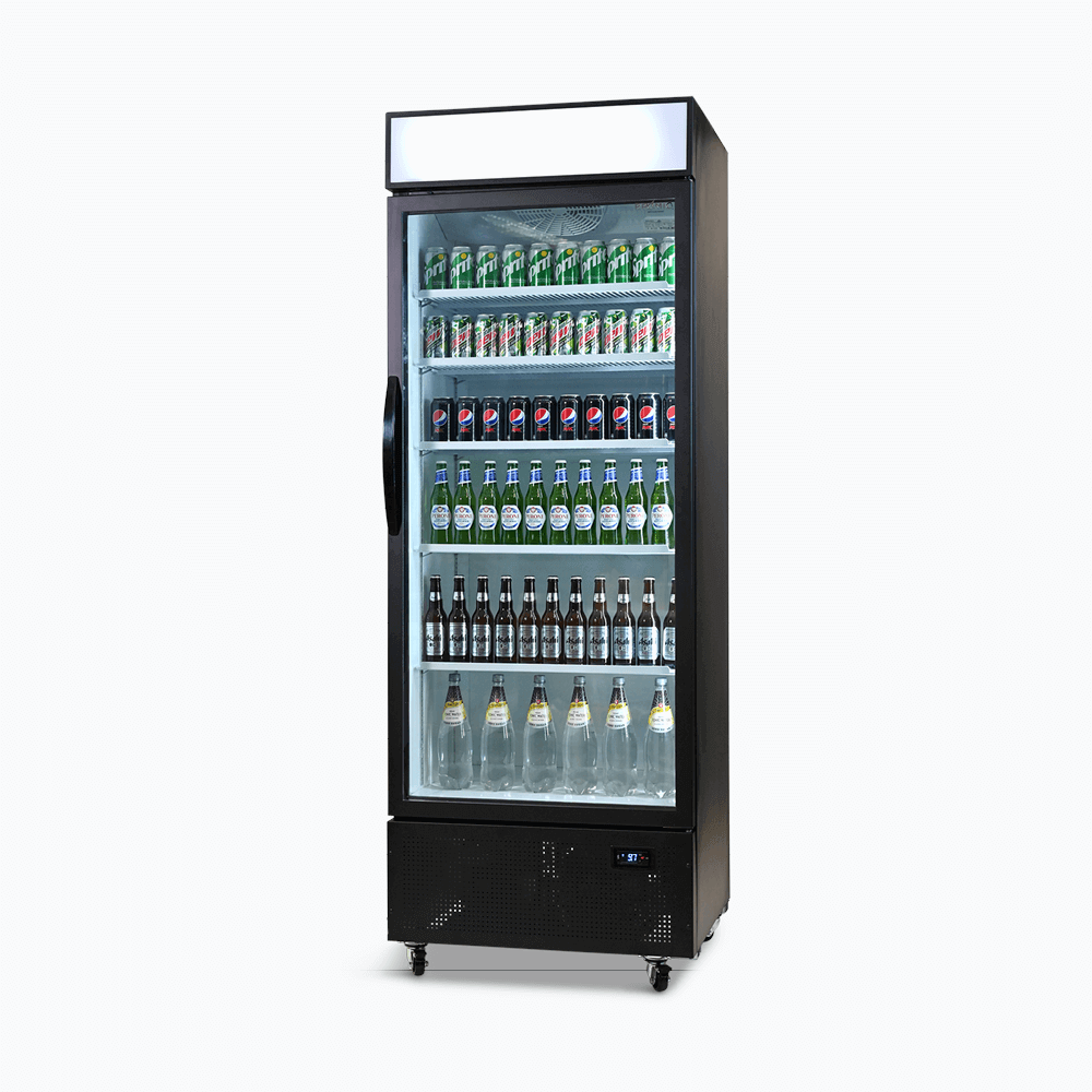 Upright Display Fridge - 659L - 1 Door - Flat Glass - Lightbox