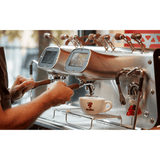 Bezzera VICTORIA White 3-Group Professional Espresso Machine - BZVICTORIA3W