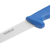 Hygiplas Fillet Knife Blue - 6"