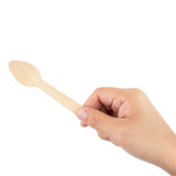 Fiesta Compostable Individually Wrapped Teaspoon (Pack 500)