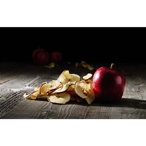 Waring Commercial 10 Tray Dehydrator CH574