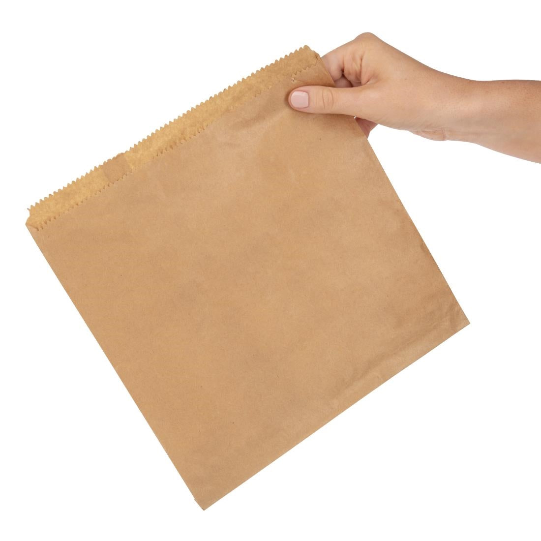 Fiesta Recyclable Large Paper Bag - 10" (Box 1000)