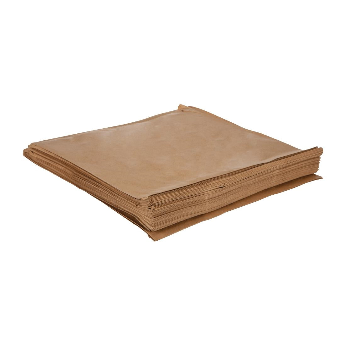 Fiesta Recyclable Large Paper Bag - 10" (Box 1000)