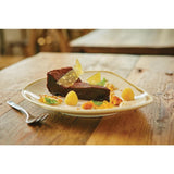 Olympia Kiln Sandstone Tri Plate - 230mm 9" (Box 6)