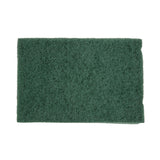 Jantex Green Scourer (Pack 10)