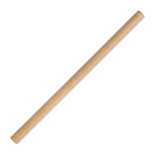 Fiesta Compostable Smoothie Paper Straw Kraft - 210mm 10mm (Pack 250)