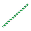 Fiesta Compostable Smoothie Paper Straw Green Stripe - 210mm 10mm (Pack 250)