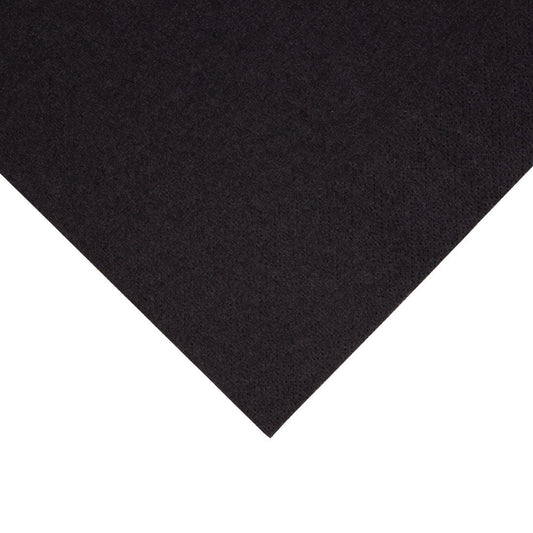 Fiesta Recyclable 33cm 2 ply 4 Fold Black Lunch Napkin  (Pack 2000)