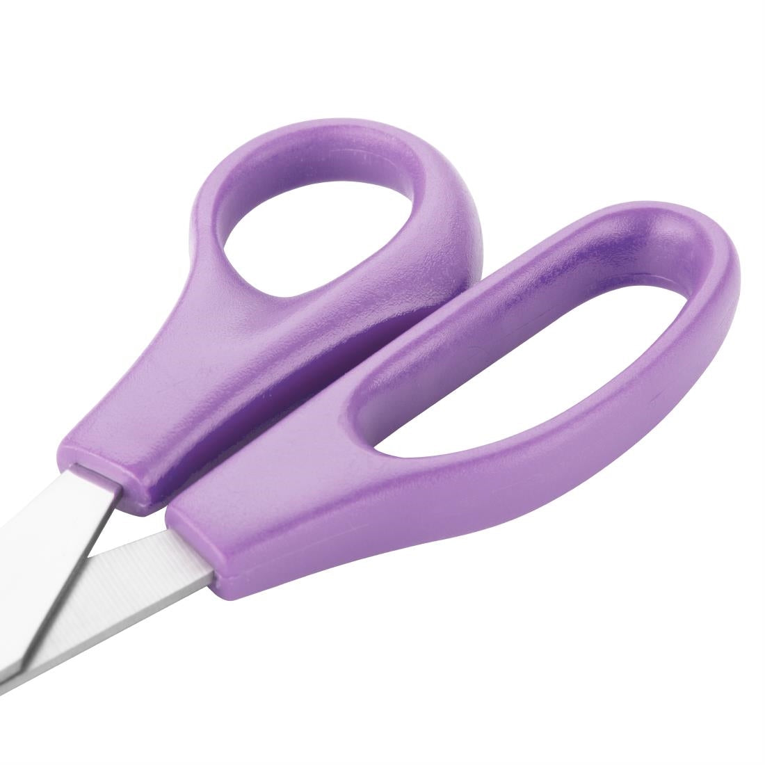 Hygiplas Scissors Purple - 200mm 8"