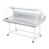 Polar Counter Top Serve Over Fish Display Unit White - 1245mm