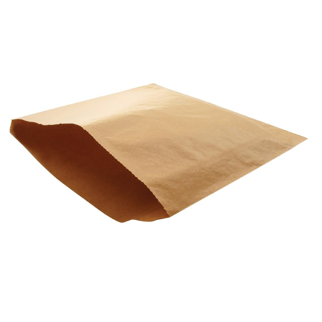 Fiesta Recyclable Large Paper Bag - 10" (Box 1000)