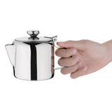 Teapot St/St Mirror Finish - 450ml 16oz