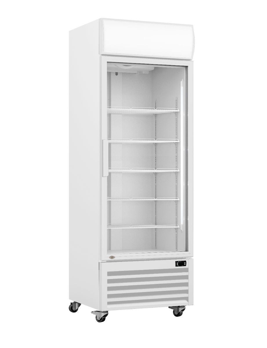 Thermaster Single Glass Door Colourbond Upright Drink Fridge - LG-370P