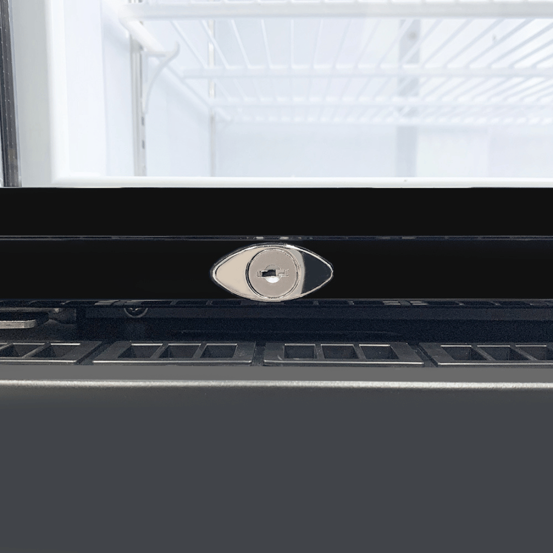 Thermaster Single Glass Door Black Colourbond Upright Drink Fridge - LG-540BP