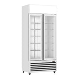 Thermaster Double Glass Door Colourbond Upright Drink Fridge - LG-580P