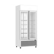 Ex-Showroom: Thermaster Double Glass Door Colourbond Upright Drink Fridge - LG-580P-VIC1046