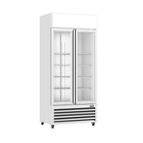Thermaster Double Glass Door Colourbond Upright Drink Fridge - LG-580P