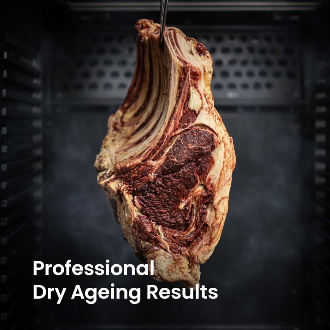 Thermaster Dry Aging Cabinet - MA400