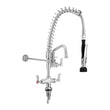 Compact Dual Bench Mount Pre-Rinse with 6" Pot Filler T-3M53015-C