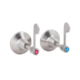 Lever Handle Wall Top Assembly T-3M60200