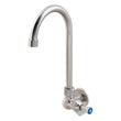 Stainless Steel Single Wall Mount Body with Single Control and 12" Gooseneck Swivel Spout T-3MSWG12