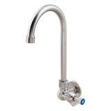 Stainless Steel Single Wall Mount Body with Single Control and 12" Gooseneck Swivel Spout T-3MSWG12