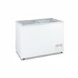 Heavy Duty Chest Freezer with Glass Sliding Lids - WD-620F